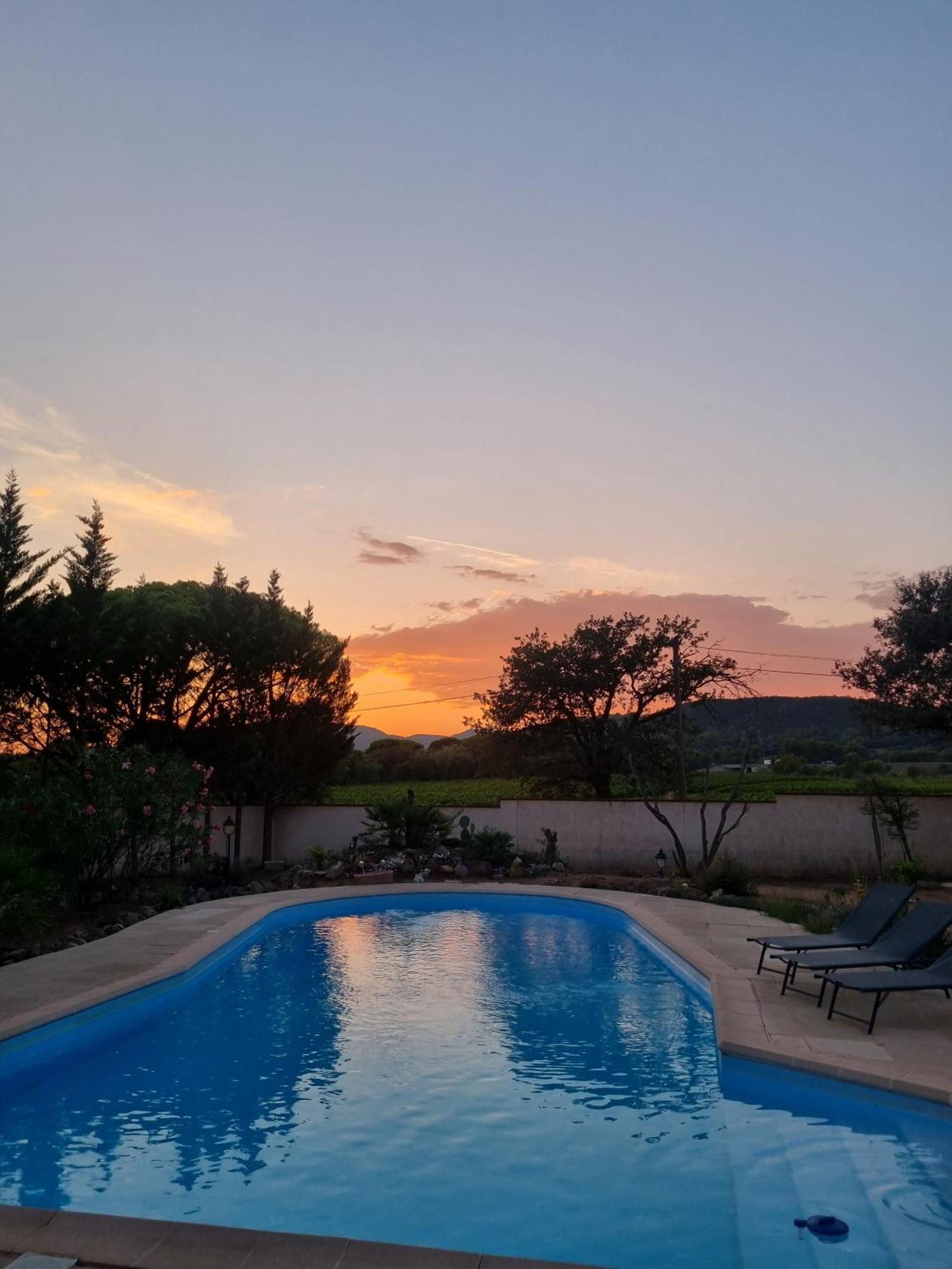 Chambre Face Aux Vignes Vidauban Exterior foto